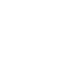 video-icon video-icon