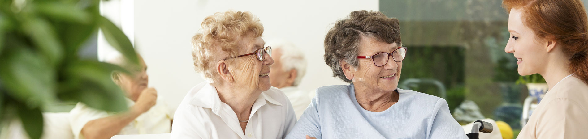 friend visiting an elderly woman in a wheelchair in a luxury nursing home